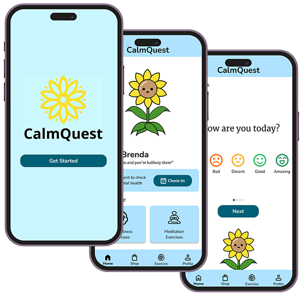 CalmQuest